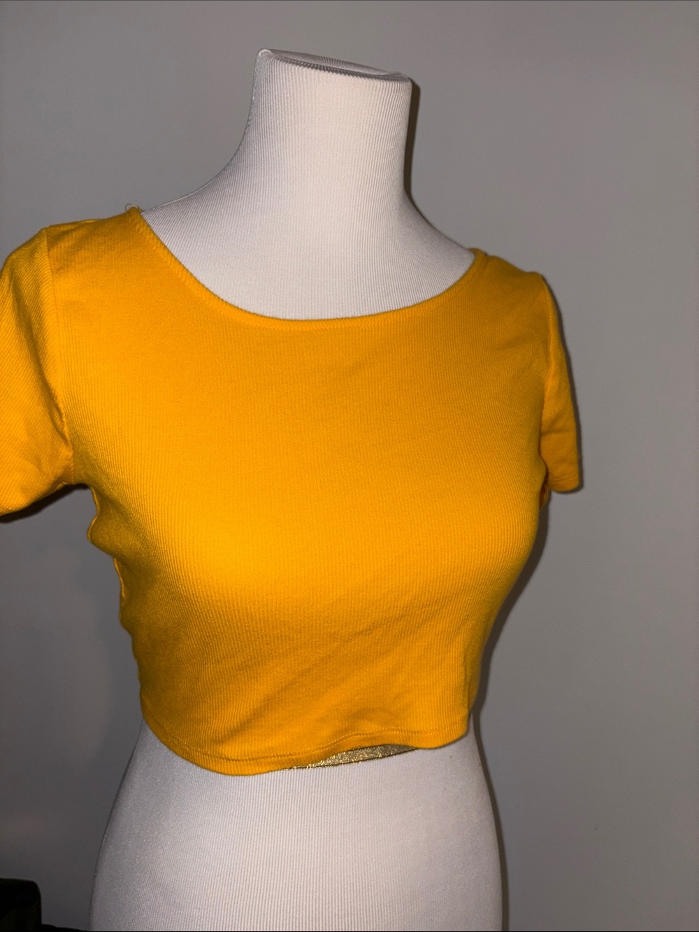 Wild fable Yellow Crop Short Sleeve Top - Classic Women's Tee